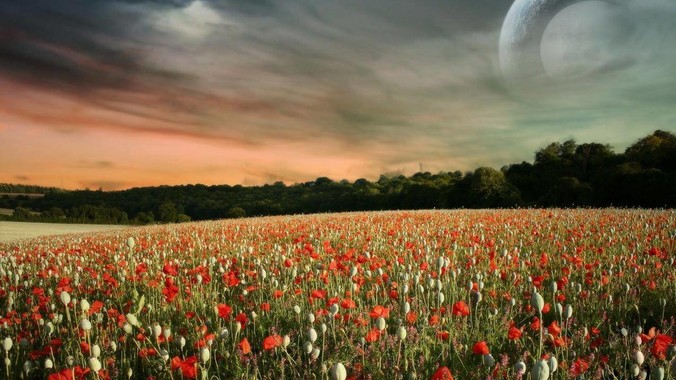 是军舰上的大炮厉害还是陆军的大炮厉害？